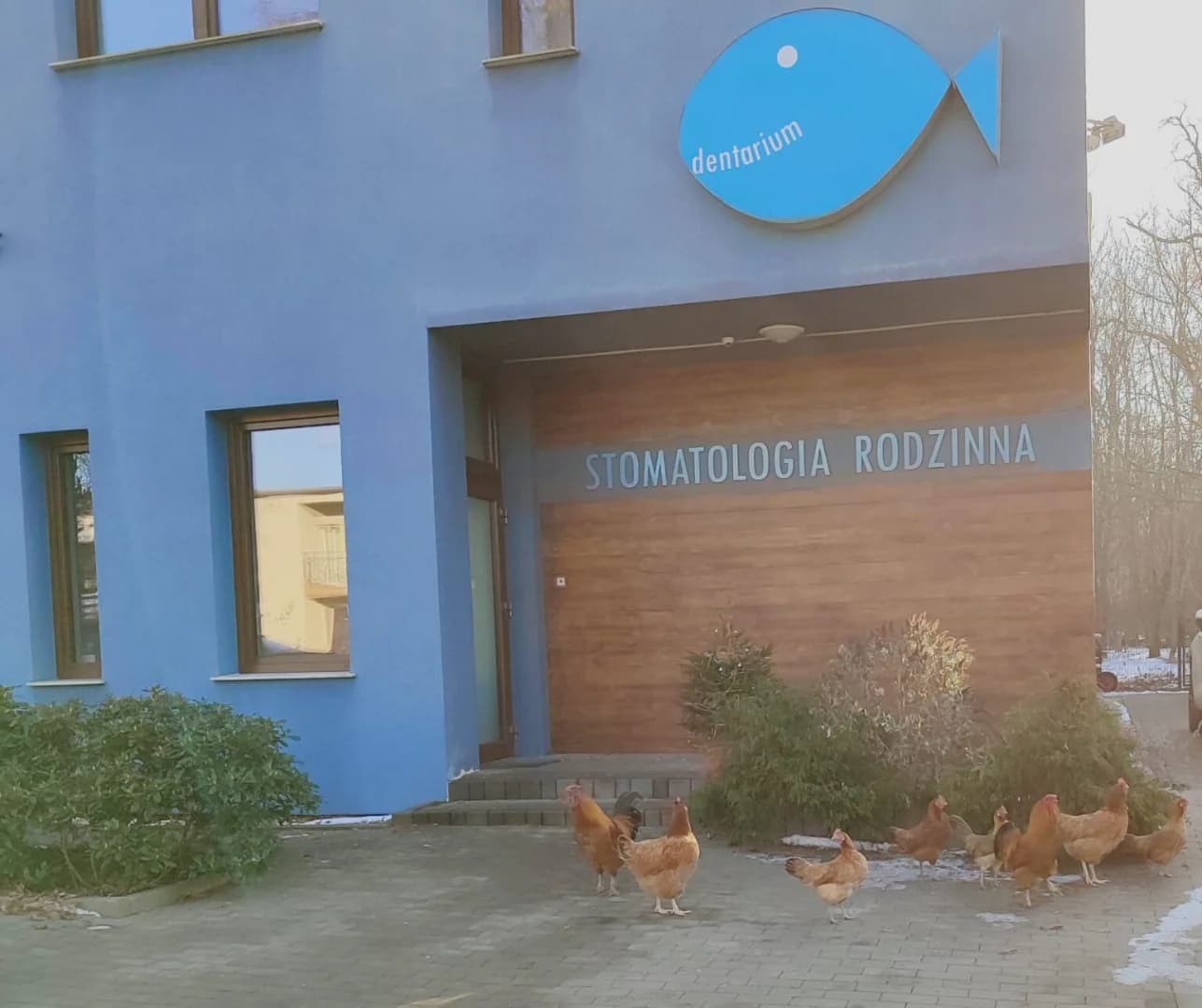 Gabinet stomatologiczny Dentarium w Gnieźnie